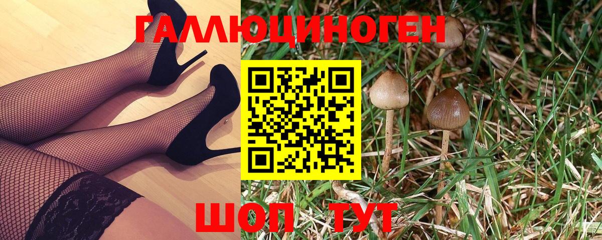 Галлюциногенные грибы GOLDEN TEACHER Канск