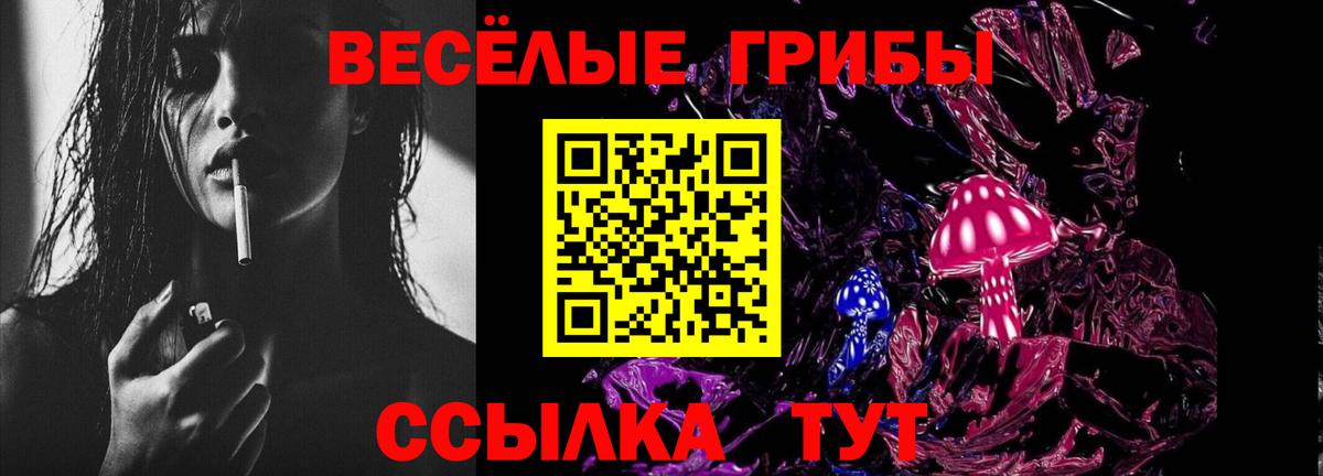 Псилоцибиновые грибы GOLDEN TEACHER  Вход с VPN  Псилоцибиновые грибы Psilocybine cubensis  Канск 